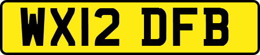 WX12DFB