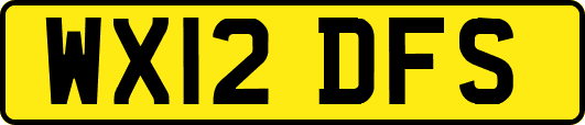 WX12DFS
