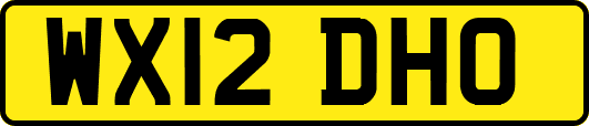 WX12DHO