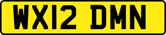WX12DMN