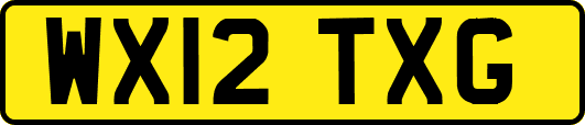 WX12TXG