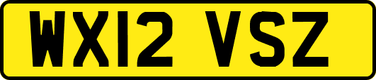 WX12VSZ
