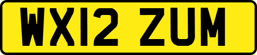 WX12ZUM