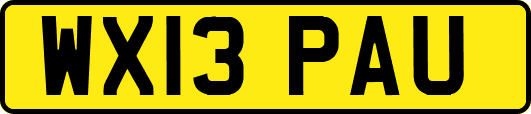 WX13PAU