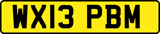 WX13PBM