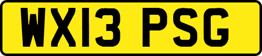 WX13PSG