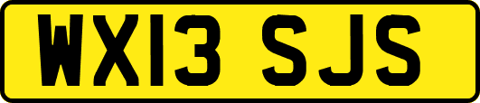 WX13SJS