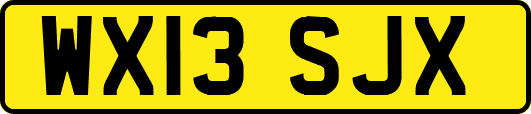 WX13SJX