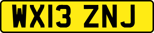 WX13ZNJ