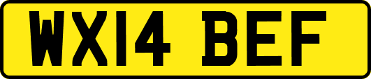 WX14BEF