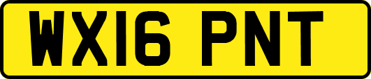 WX16PNT