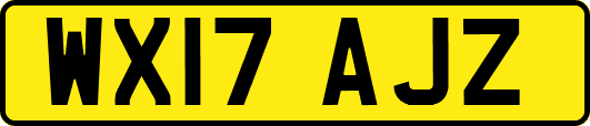 WX17AJZ