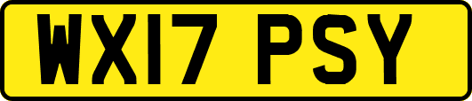 WX17PSY