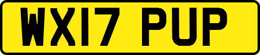 WX17PUP
