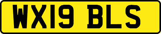 WX19BLS