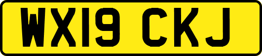 WX19CKJ