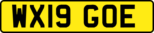 WX19GOE