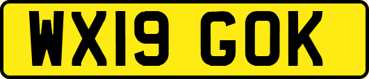 WX19GOK