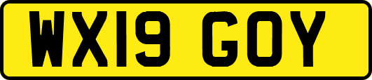 WX19GOY