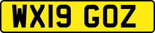 WX19GOZ