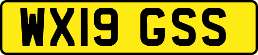 WX19GSS