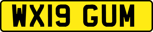 WX19GUM