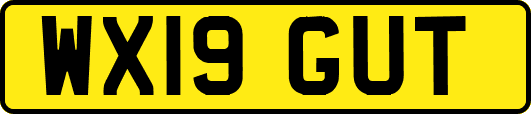 WX19GUT