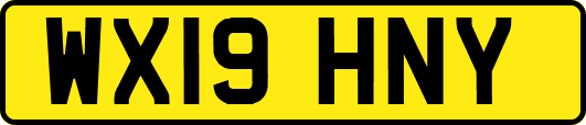 WX19HNY