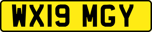 WX19MGY