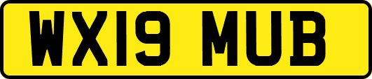 WX19MUB
