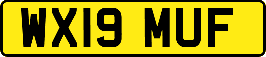WX19MUF
