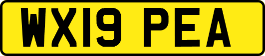 WX19PEA