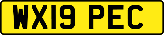 WX19PEC