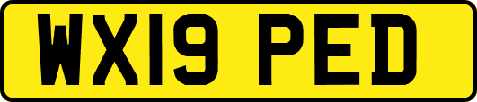 WX19PED