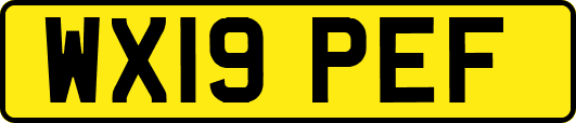 WX19PEF