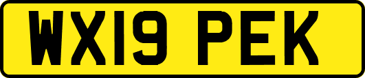 WX19PEK