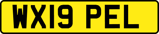 WX19PEL