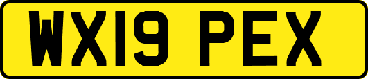 WX19PEX