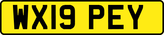 WX19PEY