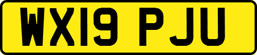 WX19PJU