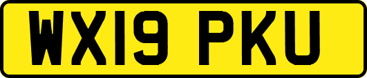 WX19PKU