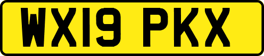 WX19PKX