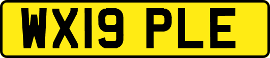 WX19PLE
