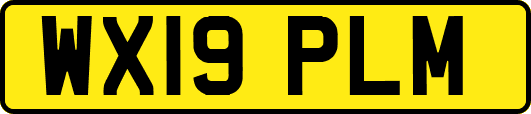 WX19PLM