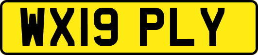 WX19PLY