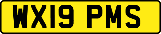 WX19PMS