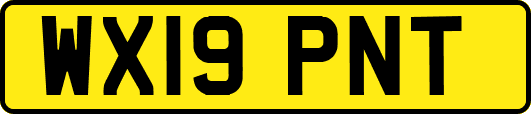 WX19PNT