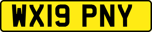 WX19PNY