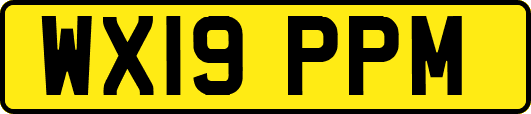 WX19PPM
