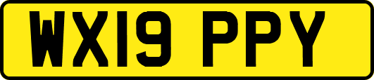WX19PPY